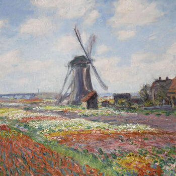 Champs de tulipes en Hollande (1886) - olio su tela; 65,5x81,5 cm; inv. RF 1944 - Paris, Musée d’Orsay - © RMN-Grand Palais (musée d’Orsay) /Franck Raux